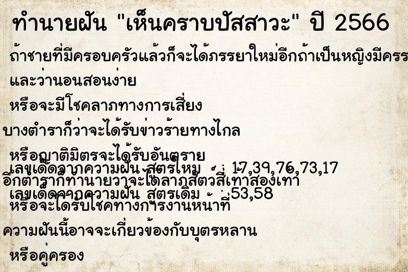 ทำนายฝัน เห็นคราบปัสสาวะ ทำนายฝัน เห็นคราบปัสสาวะ
