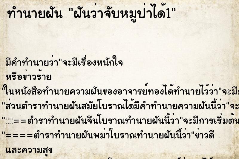 ทำนายฝัน ฝันว่าจับหมูป่าได้1 ทำนายฝัน ฝันว่าจับหมูป่าได้1