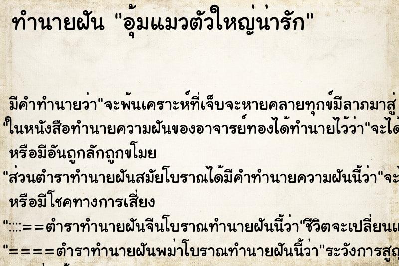 ทำนายฝัน อุ้มแมวตัวใหญ่น่ารัก ทำนายฝัน อุ้มแมวตัวใหญ่น่ารัก