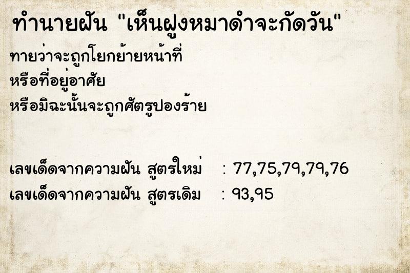 ทำนายฝัน เห็นฝูงหมาดำจะกัดวัน ทำนายฝัน เห็นฝูงหมาดำจะกัดวัน