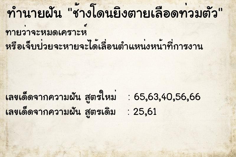 ทำนายฝันช้างโดนยิงตายเลือดท่วมตัว ทำนายฝันทำนายฝันช้างโดนยิงตายเลือดท่วมตัว