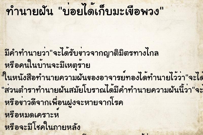 ทำนายฝันทำนายฝันบ่อยได้เก็บมะเขือพวง