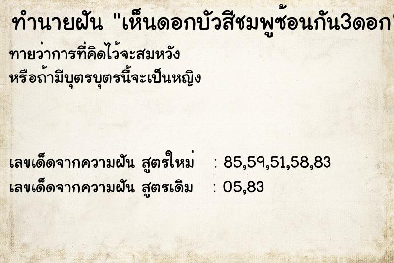 ทำนายฝัน เห็นดอกบัวสีชมพูซ้อนกัน3ดอก ทำนายฝัน เห็นดอกบัวสีชมพูซ้อนกัน3ดอก