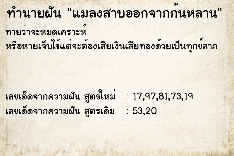 ทำนายฝันทำนายฝันแมลงสาบออกจากก้นหลาน