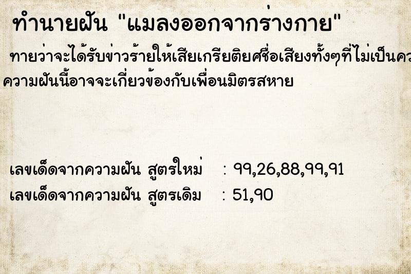 ทำนายฝัน แมลงออกจากร่างกาย ทำนายฝัน แมลงออกจากร่างกาย