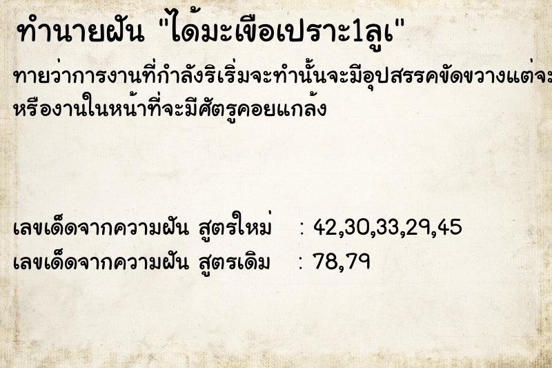 ทำนายฝันทำนายฝันได้มะเขือเปราะ1ลูà