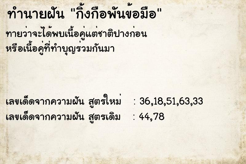 ทำนายฝันทำนายฝันกิ้งกือพันข้อมือ