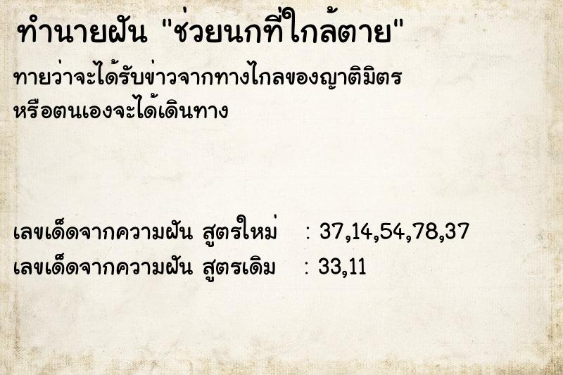 ทำนายฝันช่วยนกที่ใกล้ตาย ทำนายฝันทำนายฝันช่วยนกที่ใกล้ตาย