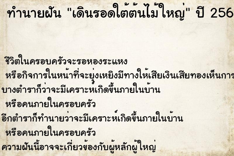 ทำนายฝัน เดินรอดใต้ต้นไม้ใหญ่ ทำนายฝัน เดินรอดใต้ต้นไม้ใหญ่