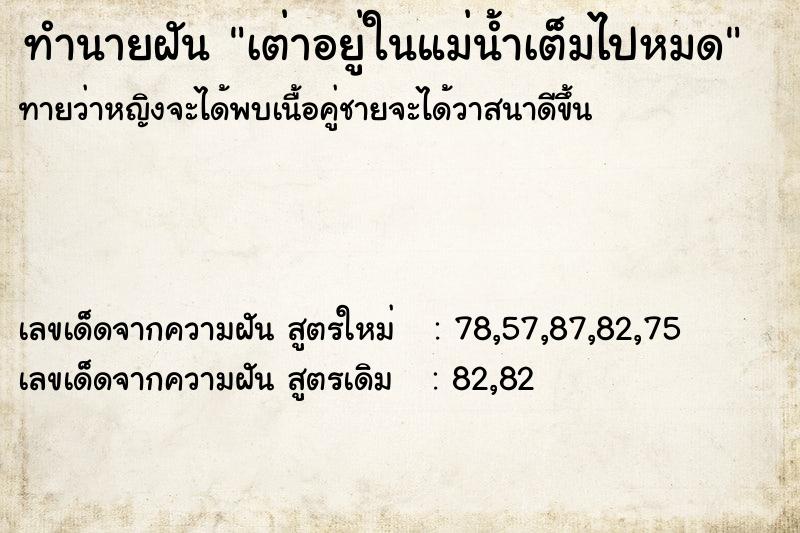 ทำนายฝันทำนายฝันเต่าอยู่ในแม่น้ำเต็มไปหมด