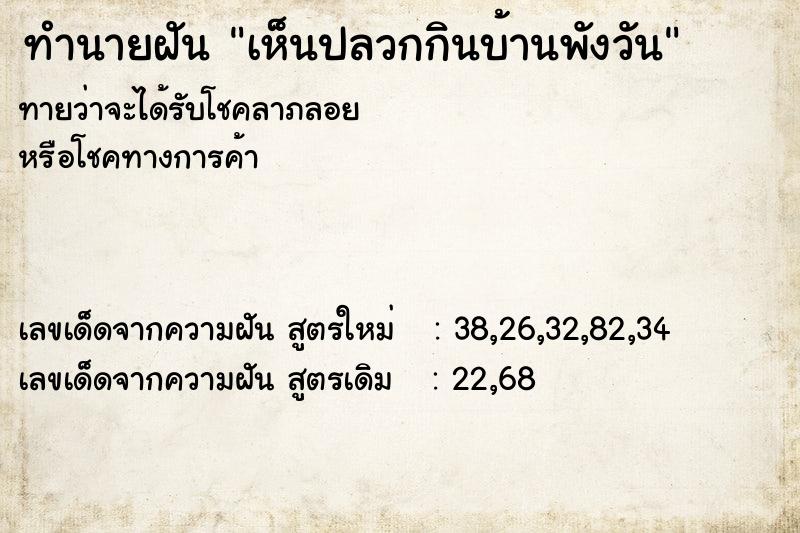 ทำนายฝันทำนายฝันเห็นปลวกกินบ้านพังวัน