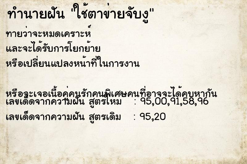 ทำนายฝันทำนายฝันใช้ตาข่ายจับงู