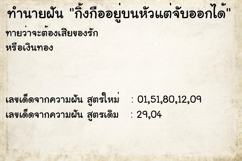 ทำนายฝันทำนายฝันกิ้งกืออยู่บนหัวแต่จับออกได้