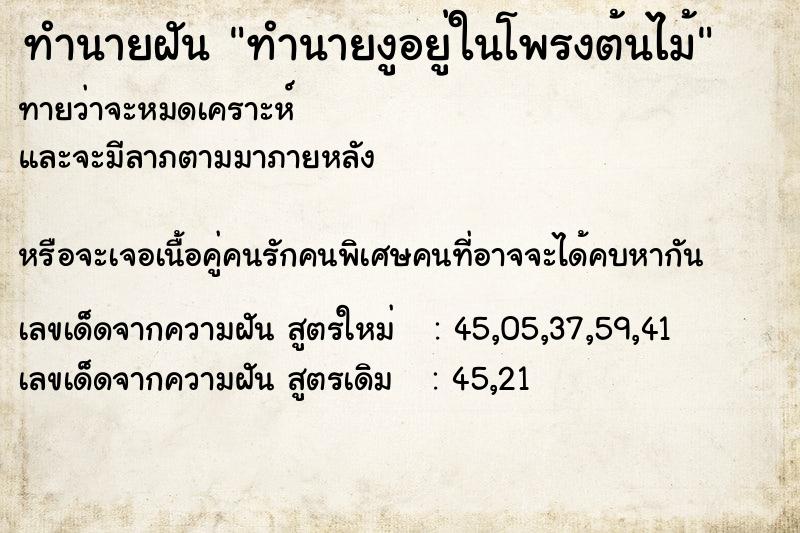 ทำนายฝัน ทำนายงูอยู่ในโพรงต้นไม้ ทำนายฝัน ทำนายงูอยู่ในโพรงต้นไม้