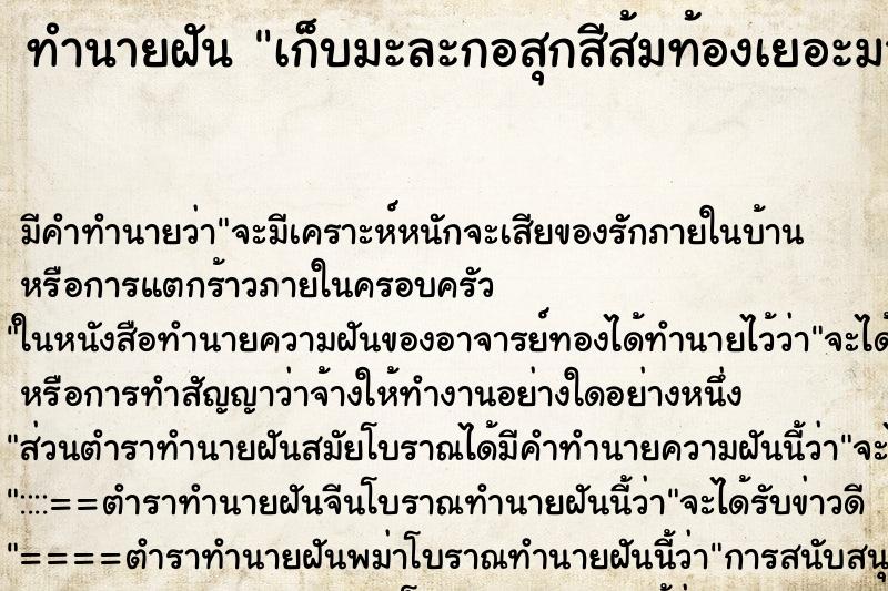 ทำนายฝันเก็บมะละกอสุกสีส้มท้องเยอะมาก ทำนายฝันทำนายฝันเก็บมะละกอสุกสีส้มท้องเยอะมาก