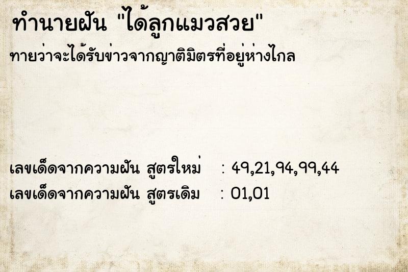 ทำนายฝันทำนายฝันได้ลูกแมวสวย