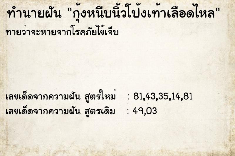 ทำนายฝันทำนายฝันกุ้งหนีบนิ้วโป้งเท้าเลือดไหล