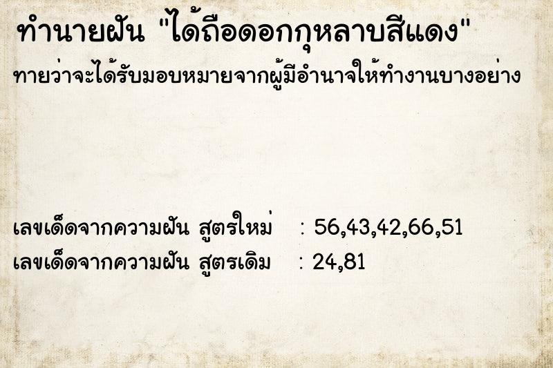 ทำนายฝันทำนายฝันได้ถือดอกกุหลาบสีแดง