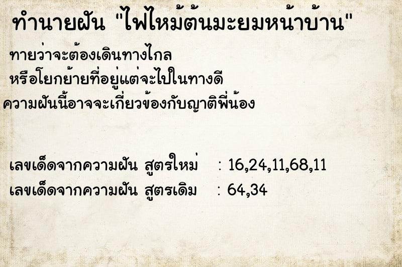 ทำนายฝัน ไฟไหม้ต้นมะยมหน้าบ้าน ทำนายฝัน ไฟไหม้ต้นมะยมหน้าบ้าน