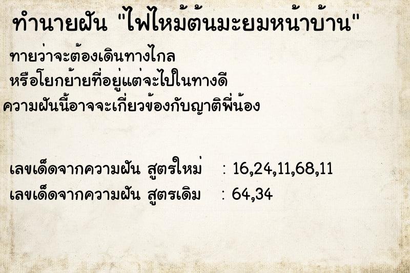 ทำนายฝัน ไฟไหม้ต้นมะยมหน้าบ้าน ตำราโบราณ แม่นที่สุดในโลก