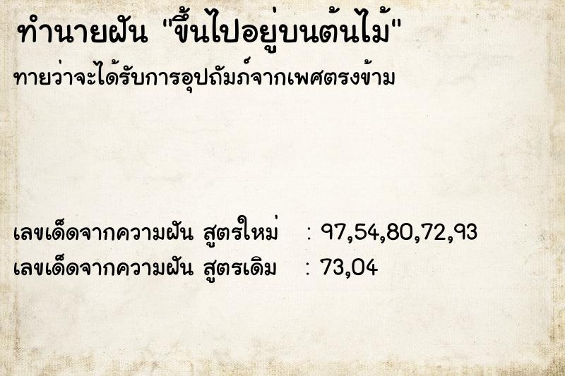 ทำนายฝันขึ้นไปอยู่บนต้นไม้ ทำนายฝันทำนายฝันขึ้นไปอยู่บนต้นไม้