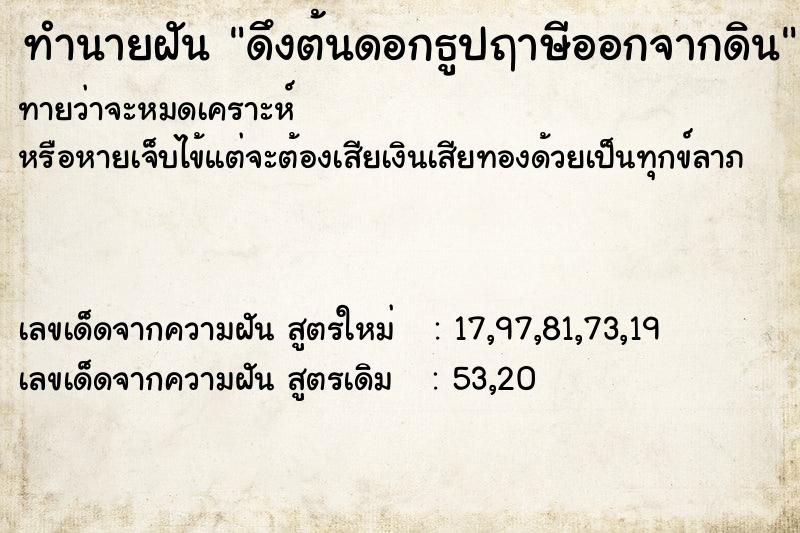 ทำนายฝันทำนายฝันดึงต้นดอกธูปฤาษีออกจากดิน