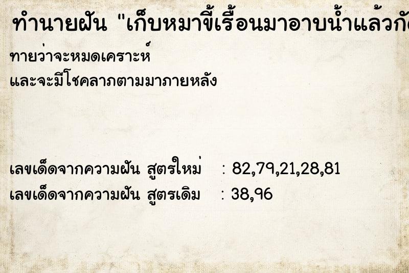 ทำนายฝัน เก็บหมาขี้เรื้อนมาอาบน้ำแล้วกัดเรา ทำนายฝัน เก็บหมาขี้เรื้อนมาอาบน้ำแล้วกัดเรา