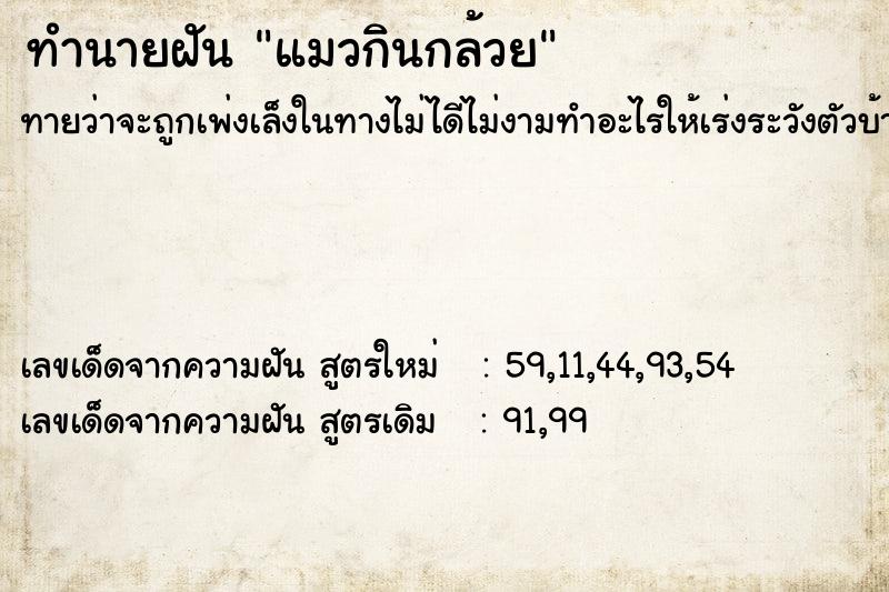 ทำนายฝัน แมวกินกล้วย ตำราโบราณ แม่นที่สุดในโลก