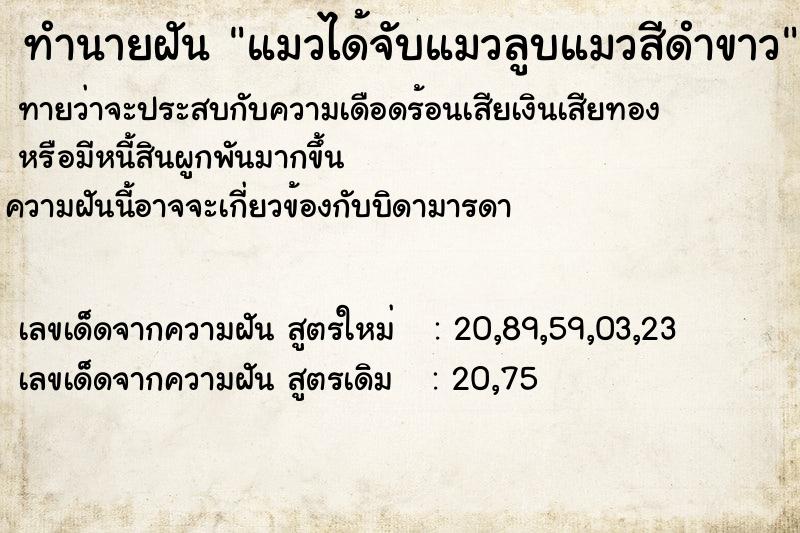 ทำนายฝันทำนายฝันแมวได้จับแมวลูบแมวสีดำขาว