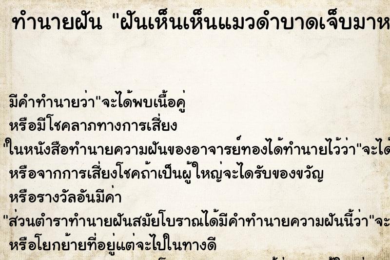 ทำนายฝันทำนายฝันฝันเห็นเห็นแมวดำบาดเจ็บมาหา
