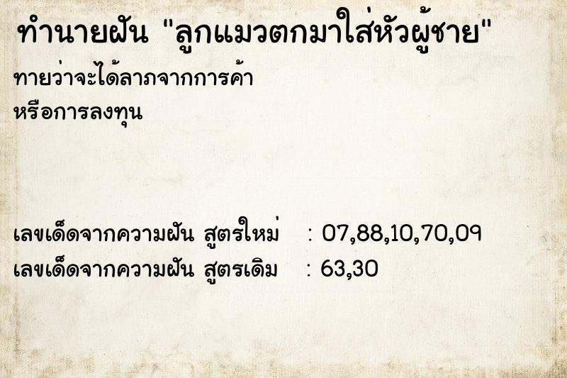 ทำนายฝันทำนายฝันลูกแมวตกมาใส่หัวผู้ชาย