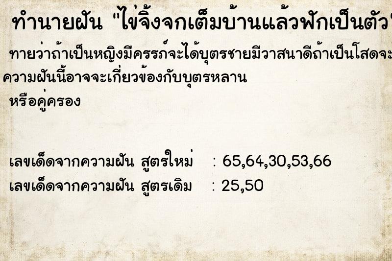ทำนายฝัน ไข่จิ้งจกเต็มบ้านแล้วฟักเป็นตัว