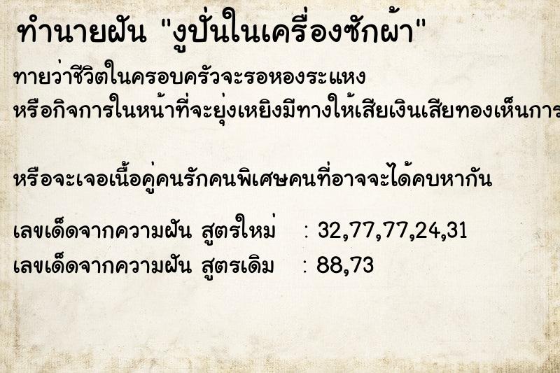 ทำนายฝันงูปั่นในเครื่องซักผ้า ทำนายฝันทำนายฝันงูปั่นในเครื่องซักผ้า