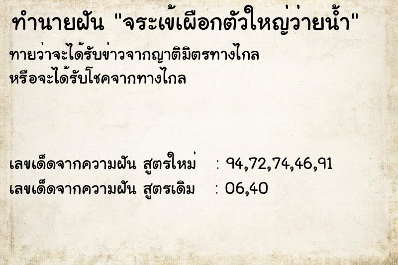 ทำนายฝันทำนายฝันจระเข้เผือกตัวใหญ่ว่ายน้ำ