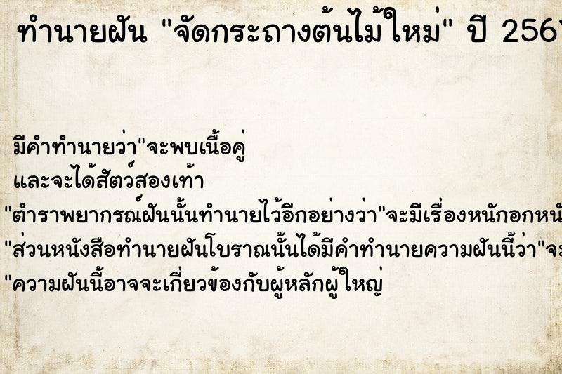 ทำนายฝันจัดกระถางต้นไม้ใหม่ ทำนายฝันทำนายฝันจัดกระถางต้นไม้ใหม่