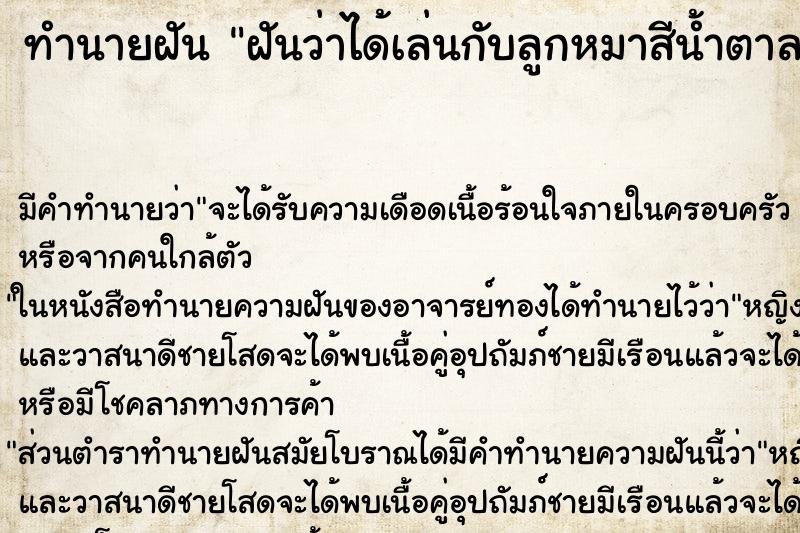 ทำนายฝันฝันว่าได้เล่นกับลูกหมาสีน้ำตาล ทำนายฝันทำนายฝันฝันว่าได้เล่นกับลูกหมาสีน้ำตาล