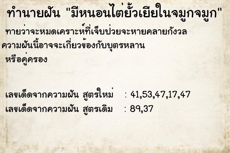 ทำนายฝันมีหนอนไต่ยั้วเยียในจมูกจมูก ทำนายฝันทำนายฝันมีหนอนไต่ยั้วเยียในจมูกจมูก