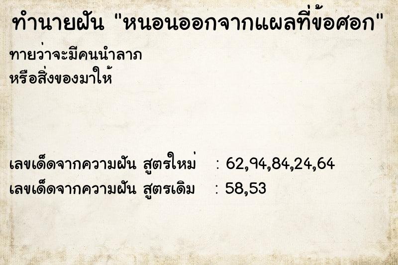 ทำนายฝันหนอนออกจากแผลที่ข้อศอก ทำนายฝันทำนายฝันหนอนออกจากแผลที่ข้อศอก