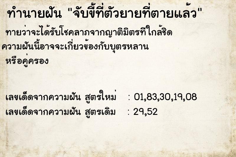 ทำนายฝันจับขี้ที่ตัวยายที่ตายแล้ว ทำนายฝันทำนายฝันจับขี้ที่ตัวยายที่ตายแล้ว