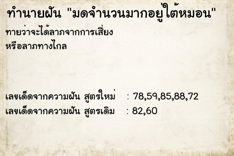 ทำนายฝันมดจำนวนมากอยู่ใต้หมอน ทำนายฝันทำนายฝันมดจำนวนมากอยู่ใต้หมอน