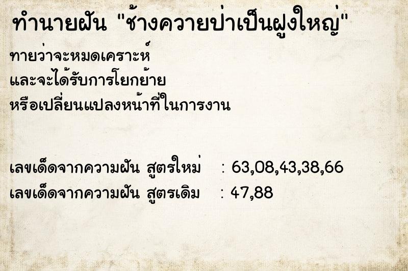 ทำนายฝันช้างควายป่าเป็นฝูงใหญ่ ทำนายฝันทำนายฝันช้างควายป่าเป็นฝูงใหญ่
