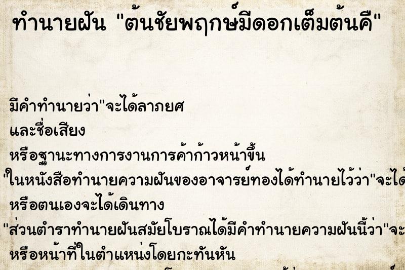 ทำนายฝันทำนายฝันต้นชัยพฤกษ์มีดอกเต็มต้นคื