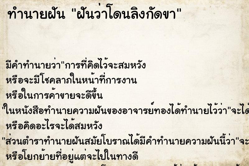 ทำนายฝัน ฝันว่าโดนลิงกัดขา ตำราโบราณ แม่นที่สุดในโลก