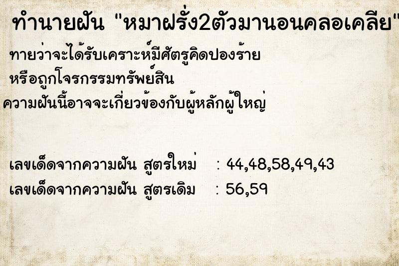 ทำนายฝันทำนายฝันหมาฝรั่ง2ตัวมานอนคลอเคลีย