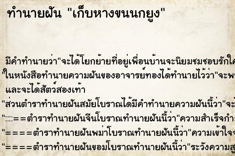 ทำนายฝันเก็บหางขนนกยูง ทำนายฝันทำนายฝันเก็บหางขนนกยูง