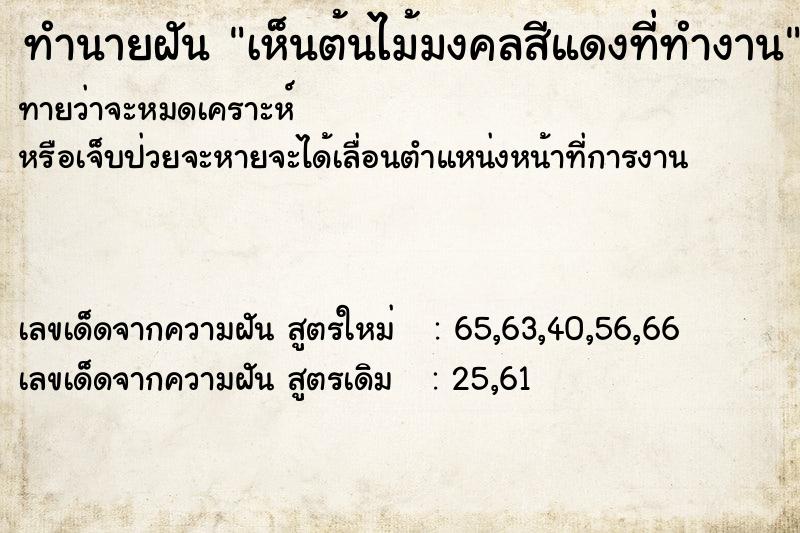 ทำนายฝันเห็นต้นไม้มงคลสีแดงที่ทำงาน ทำนายฝันทำนายฝันเห็นต้นไม้มงคลสีแดงที่ทำงาน