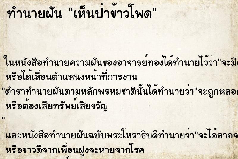 ทำนายฝันเห็นป่าข้าวโพด ทำนายฝันทำนายฝันเห็นป่าข้าวโพด