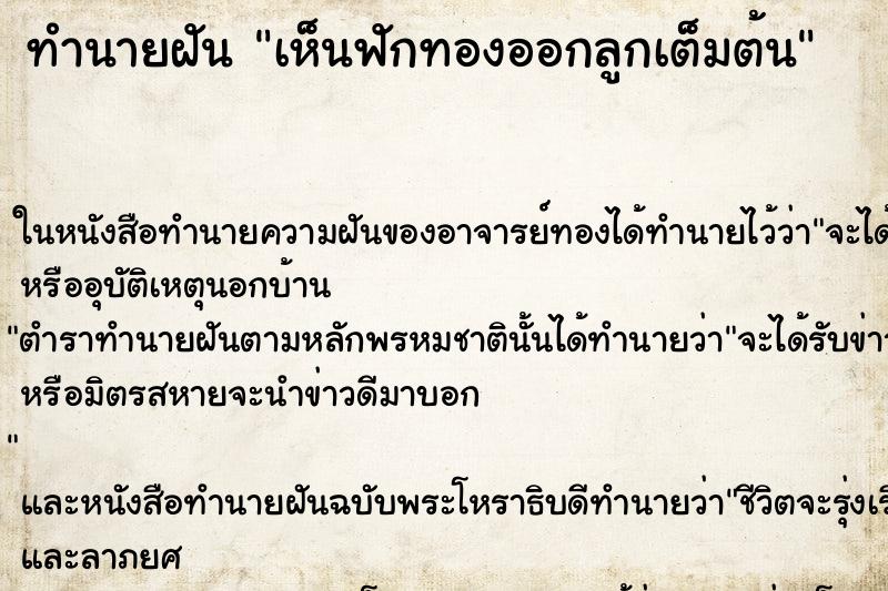 ทำนายฝัน เห็นฟักทองออกลูกเต็มต้น ตำราโบราณ แม่นที่สุดในโลก