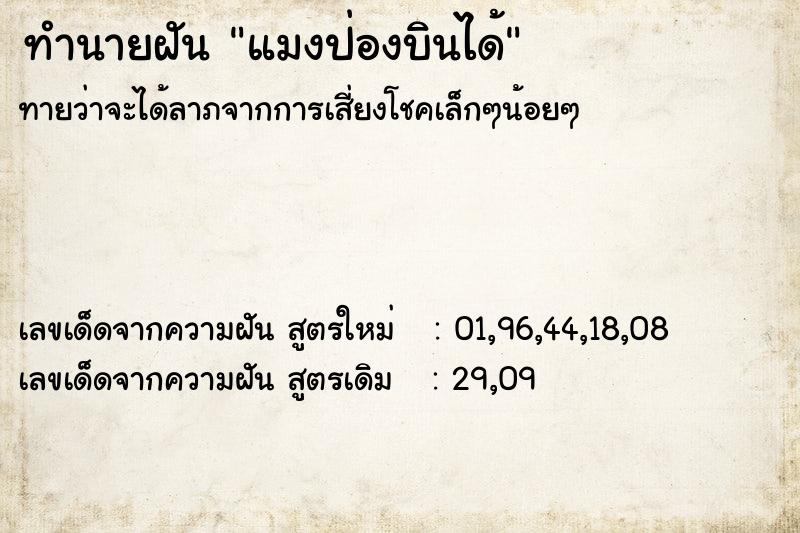 ทำนายฝันทำนายฝันแมงป่องบินได้