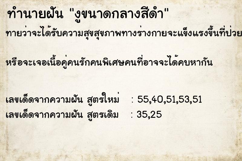 ทำนายฝัน งูขนาดกลางสีดำ ทำนายฝัน งูขนาดกลางสีดำ